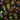 Immunofluorescent analysis of HeLa cells stained with rabbit pAb to annexin A6, RPCA-ANXA6, dilution 1:2,000 in green, and costain with EnCor mouse mAb to β-tubulin, <a href="http://encorbio.com/product/mca-4e4" target="_blank" rel="noopener">MCA-4E4</a>, dilution 1:5,000 in red. The blue is Hoechst staining of nuclear DNA. The annexin A6 antibody detects protein mainly expressed in spherical cellular membrane protrusions, known as blebs, while the β-tubulin antibody produces strong staining of