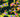 5 Channel 3T3 cell image: DNA, actin, tubulin, HSP60 and fibrillarin