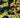 5 Channel 3T3 cell image: DNA, actin, tubulin, HSP60 and fibrillarin