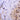 Chicken Polyclonal Antibody to Heat Shock Protein 60 (HSP60), Cat# CPCA-HSP60