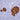 Chicken Polyclonal Antibody to Secretagogin, Cat# CPCA-SCGN