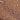 Mouse Monoclonal Antibody to β-Tubulin, Cat# MCA-1B12