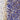 Mouse Monoclonal Antibody to CNP, Cat# MCA-1H10