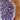 Mouse Monoclonal Antibody to Ankyrin 3/Ankyrin G, Cat# MCA-2A8