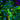 Mouse Monoclonal Antibody to Phospho-MAP-&tau;-Tp205 (phospho-MAPT T205), Cat# MCA-1H103