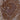 Rabbit Polyclonal Antibody to Coronin 1a, Cat# RPCA-Cor1a