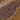 Rabbit Polyclonal Antibody to Growth Associated Protein 43 (GAP43), Cat# RPCA-GAP43