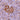 Rabbit Polyclonal Antibody to Myristoylated Alanine Rich Protein Kinase C Substrate (MARCKS), Cat# RPCA-MARCKS