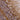 Rabbit Polyclonal Antibody to Neurofilament NF-L (Nfl, NEFL)  C-terminus, Cat# RPCA-NF-L-ct