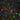 Rabbit Polyclonal Antibody to Nitric Oxide Synthase 1 (NOS1, neuronal NOS, nNOS) Cat# RPCA-NOS1