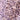 Rabbit Polyclonal Antibody to Ki67-Rodent (Ki-67), Cat#  RPCA-Ki67-Ro