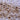 Rabbit Polyclonal Antibody to Tyrosine Hydroxylase (TH), Cat# RPCA-TH