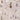 Rabbit Polyclonal Antibody to Ubiquitin, Cat# RPCA-Ubi