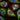 Immunofluorescent analysis of HeLa cells stained with mouse mAb to LAMP1, MCA-5H6, dilution 1:500 in red, and costained with chicken pAb to vimentin, <a href="http://encorbio.com/products/cpca-vim/" target="_blank" rel="noopener">CPCA-Vim</a>, dilution 1:10,000, in green. The blue is DAPI staining of nuclear DNA. The cells were treated with 50µM of chloroquine, an inhibitor of autophagy, for 16 hours prior to staining. The MCA-5H6 antibody reveals vesicular staining of LAMP1 protein accumulated 