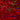 Immunofluorescent analysis of a section of adult mouse cerebellar dentate nucleus stained with chicken pAb to neuron specific enolase (NSE), CPCA-NSE, dilution 1:3,000 in red. The section was costained with rabbit pAb to GFAP, <a href="http://encorbio.com/product/rpca-gfap" target="_blank" rel="noopener">RPCA-GFAP</a>, dilution 1:5,000 in green. The blue is Hoechst staining of nuclear DNA. Following transcardial perfusion of mouse with 4% paraformaldehyde, brain was post fixed for 24 hours, cut 