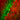 Immunofluorescent analysis of rat cerebellum section stained with mouse mAb to α-internexin, MCA-1D2, dilution 1:5,000 in green, and costained with chicken pAb to calretinin, <a href="http://encorbio.com/products/cpca-calret/" target="_blank" rel="noopener">CPCA-Calret</a>, 1:2,000 in red. Following transcardial perfusion of rat with 4% paraformaldehyde, brain was post fixed for 24 hours, cut to 45μM, and free-floating sections were stained with the above antibodies. The α-internexin antibody se